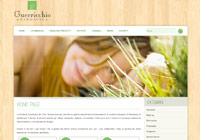 www.farmaciaguerricchio.com - eBusiness in farmacia